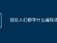 现在人们都学什么编程语言-路由网