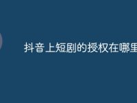 抖音上短剧的授权在哪里-路由网