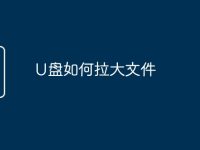 U盘如何拉大文件-路由网
