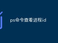 ps命令查看进程id-路由网