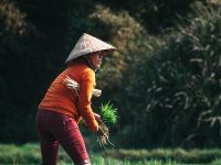 饭圈文化带来的正面影响-路由网