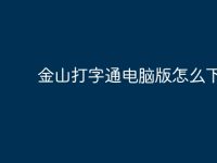 金山打字通电脑版怎么下?-路由网