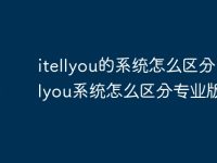 itellyou的系统怎么区分 itellyou系统怎么区分专业版-路由网