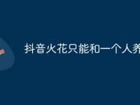 抖音火花只能和一个人养吗-路由网
