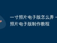 一寸照片电子版怎么弄 一寸照片电子版制作教程-路由网