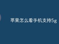 苹果怎么看手机支持5g-路由网