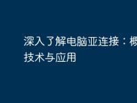 深入了解电脑亚连接:概念、技术与应用-路由网