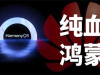 纯血鸿蒙全名-路由网