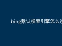 bing默认搜索引擎怎么设置-路由网
