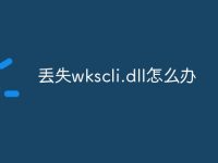 丢失wkscli.dll怎么办-路由网