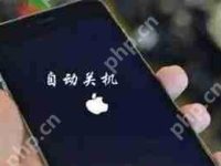 苹果手机自动关机重启原因是什么-路由网