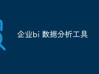企业bi 数据分析工具-路由网