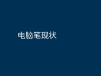 电脑笔现状-路由网