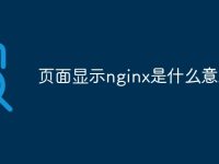 页面显示nginx是什么意思-路由网