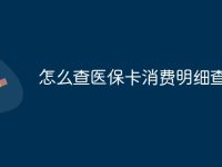 怎么查医保卡消费明细查询-路由网