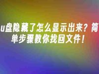 u盘隐藏了怎么显示出来?简单步骤教你找回文件!-路由网