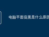 电脑平面变黑是什么原因-路由网