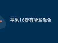 苹果16都有哪些颜色-路由网