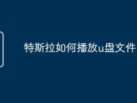 特斯拉如何播放u盘文件-路由网