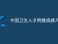 中国卫生人才网查成绩入口-路由网