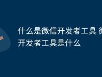 什么是微信开发者工具 微信开发者工具是什么-路由网