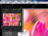 lightroom怎么导入预设-路由网