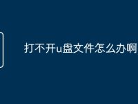 打不开u盘文件怎么办啊-路由网