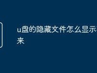 u盘的隐藏文件怎么显示不出来-路由网