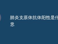 肺炎支原体抗体阳性是什么意思-路由网