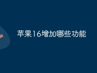 苹果16增加哪些功能-路由网