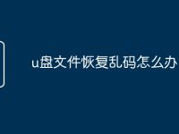 u盘文件恢复乱码怎么办-路由网