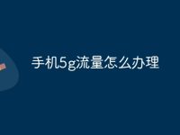 手机5g流量怎么办理-路由网