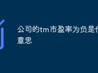 公司的tm市盈率为负是什么意思-路由网
