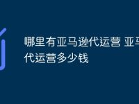 哪里有亚马逊代运营 亚马逊代运营多少钱-路由网