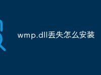 wmp.dll丢失怎么安装-路由网