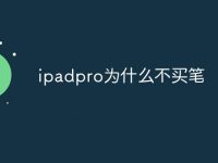 ipadpro为什么不买笔-路由网