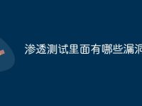 渗透测试里面有哪些漏洞-路由网