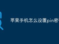 苹果手机怎么设置pin密码-路由网