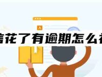 最强攻略：征信花了有逾期怎么补救？十大有效补救措施-路由网
