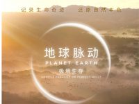 地球脉动大电影什么时候上映-路由网