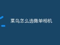 菜鸟怎么选微单相机-路由网