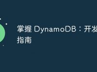 掌握 DynamoDB:开发人员指南-路由网