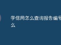 学信网怎么查询报告编号是什么-路由网