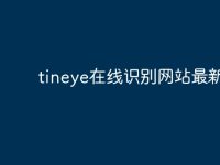 tineye在线识别网站最新地址-路由网