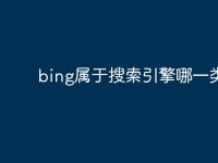 bing属于搜索引擎哪一类-路由网