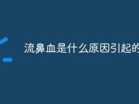 流鼻血是什么原因引起的-路由网