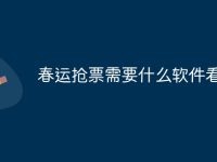 春运抢票需要什么软件看-路由网