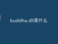 buddha.dll是什么-路由网