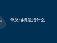 单反相机是指什么-路由网