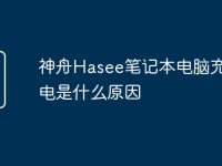 神舟Hasee笔记本电脑充不了电是什么原因-路由网
